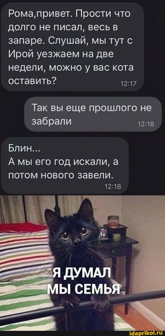 Рома, привет. Прости что долго не писал, весь в запаре. Слушай, мы тут с
Ирой уезжаем на две недели, можно у вас кота оставить?
Так вы еще прошлого не забрали
Блин...
А мы его год искали, а
потом нового завели.
Я ДУМАЛ Ы СЕМЬЯ