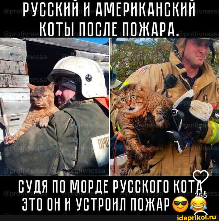 e9f27831d4ca9b9881428358a22141a5d4ee9919