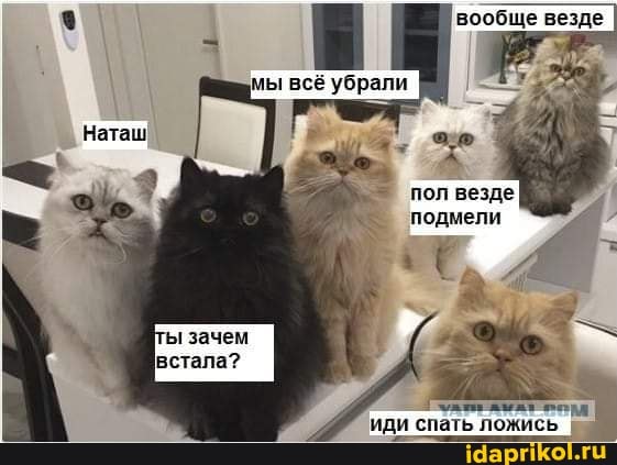 вообще везде
мы все убрали
пол везде подмели
ы зачем
встала? иди спать ложись