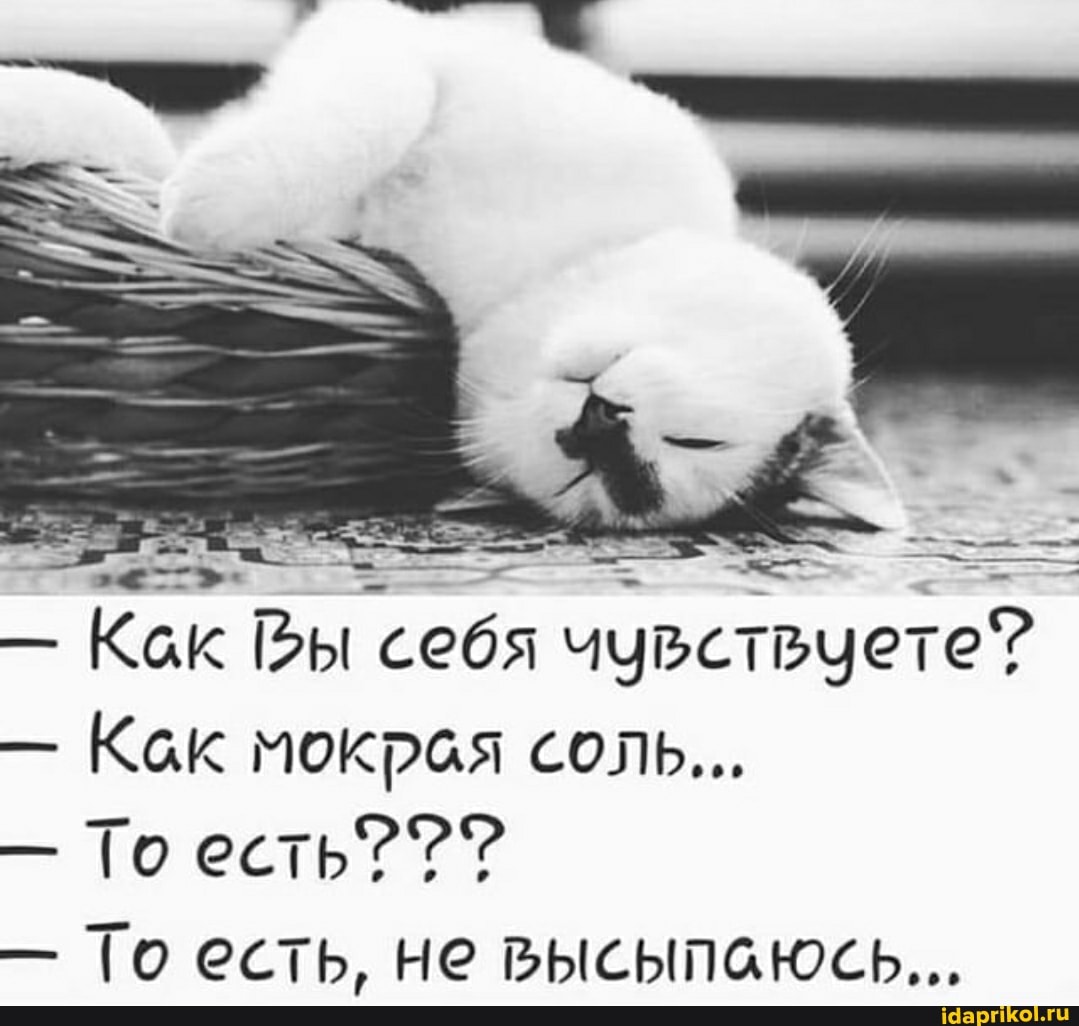 Как Вы 'себя чдвстьцете?.
- Как мокрая соль...
- То есть?
- То есть, не высыпаюсь..,