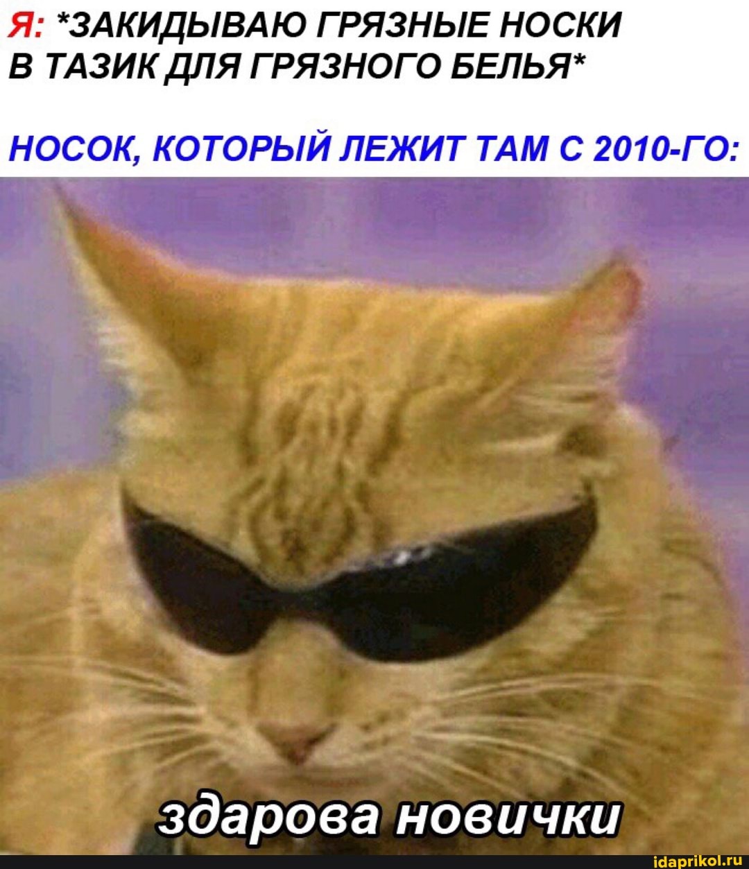 Я: *ЗАКИДЫВАЮ ГРЯЗНЫЕ НОСКИ
В ТАЗИК ДЛЯ ГРЯЗНОГО БЕЛЬЯ*
НОСОК, КОТОРЫЙ ЛЕЖИТ ТАМ С 2010-ГО: