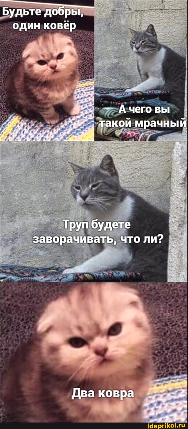 Будьте добры, один ковер
А чего вы такой мрачный
Труп будете заворачивать, что ли?
Два ковра