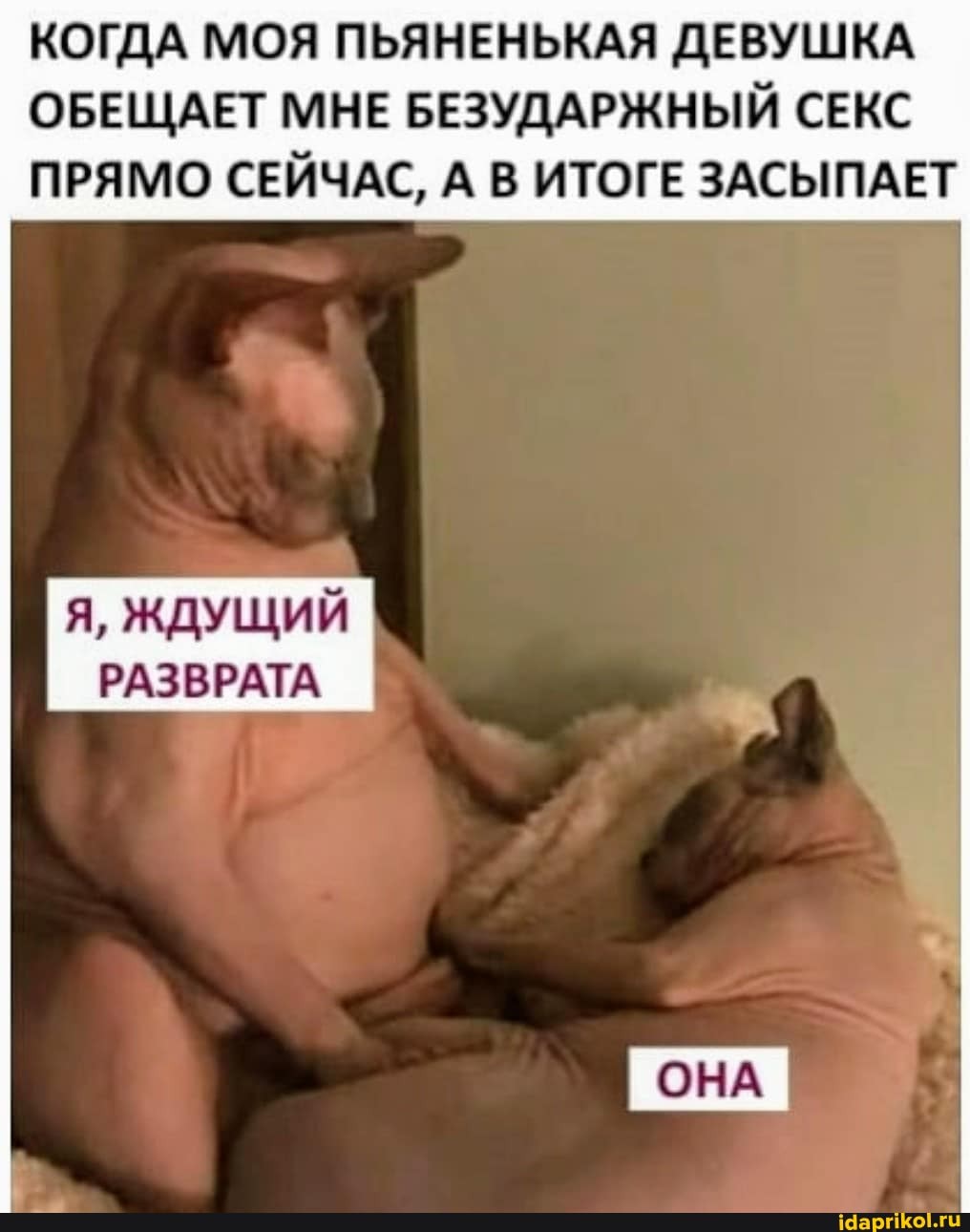 КОГДА МОЯ ПЬЯНЕНЬКАЯ ДЕВУШКА ОБЕЩАЕТ МНЕ БЕЗУДАРЖНЫЙ СЕКС ПРЯМО СЕЙЧАС, А В ИТОГЕ ЗАСЫПАЕТ
Я, ЖДУЩИЙ РАЗВРАТА