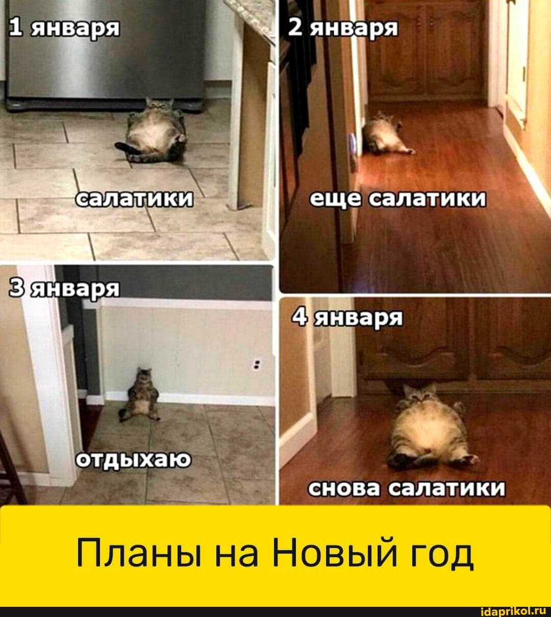 1 января 2 января
-салатики II еще салатики \
отдыхаю
снова салатики
Планы на Новый год