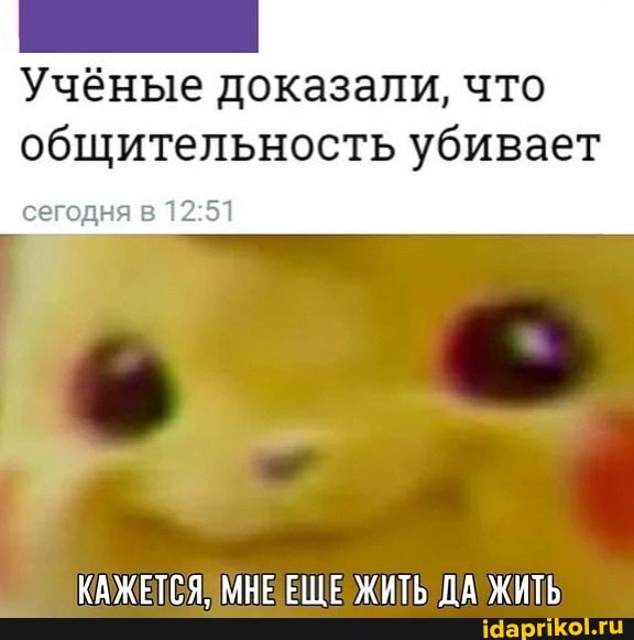 Учёные доказали, что
общительность убивает
сегодня в 12:51
р
КАЖЕТСЯ, МНЕЕЩЕ ЖИТЬ ДА ЖИТЬ
