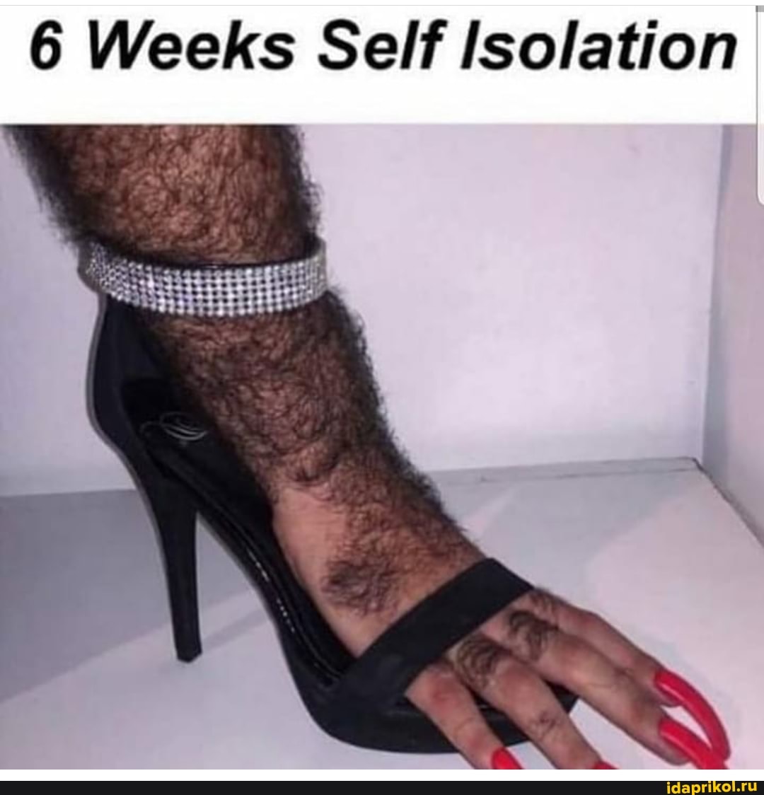 6 Weeks Self Isolation