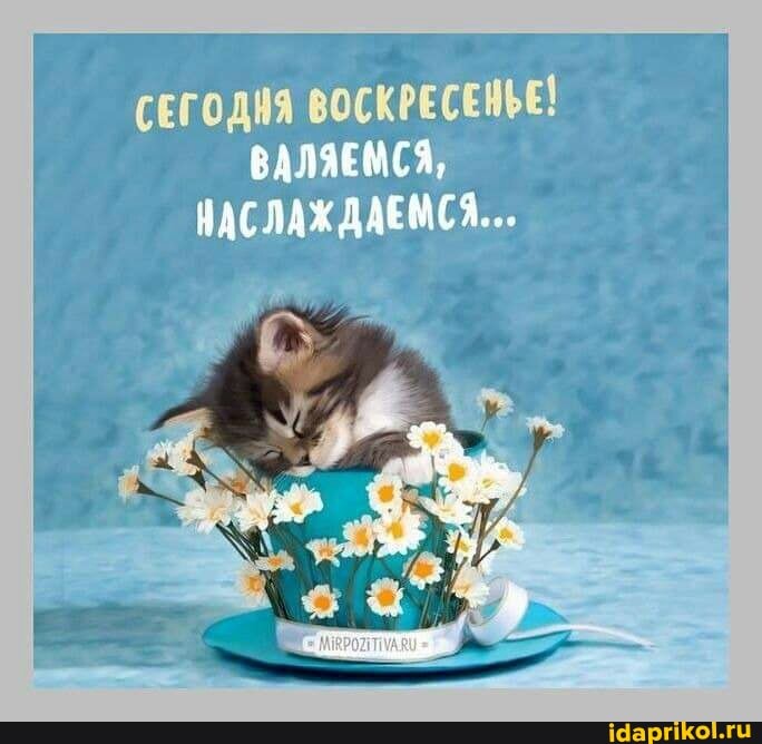 СЕГОДНЯ ВОСКРЕСЕНЫЕ!
ВАЛЯЕМСЯ,
НАСЛАЖДАЕМСЯ...