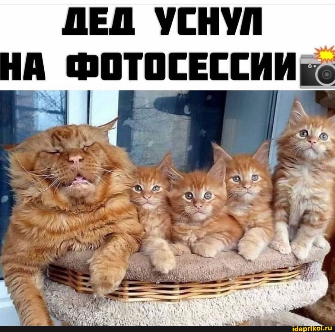 ПЕД УСНУЛ НА ФОТОСЕССИИ