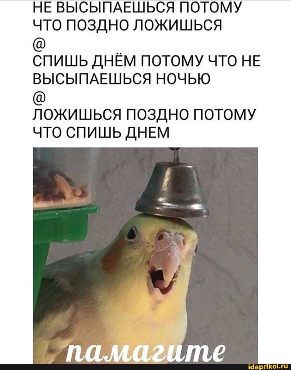 НЕ ВЫСЫПАЕШЬСЯ ПОТОМУ
ЧТО ПОЗДНО ЛОЖИШЬСЯ
СПИШЬ ДНЁМ ПОТОМУ ЧТО НЕ
ВЫСЫПАЕШЬСЯ НОЧЬЮ
ЛОЖИШЬСЯ ПОЗДНО ПОТОМУ
ЧТО СПИШЬ ДНЕМ