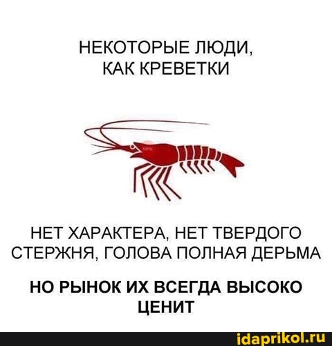 НЕКОТОРЫЕ ЛЮДИ,
КАК КРЕВЕТКИ
НЕТ ХАРАКТЕРА, НЕТ ТВЕРДОГО СТЕРЖНЯ, ГОЛОВА ПОЛНАЯ ДЕРЬМА
НО РЫНОК ИХ ВСЕГДА ВЫСОКО ЦЕНИТ