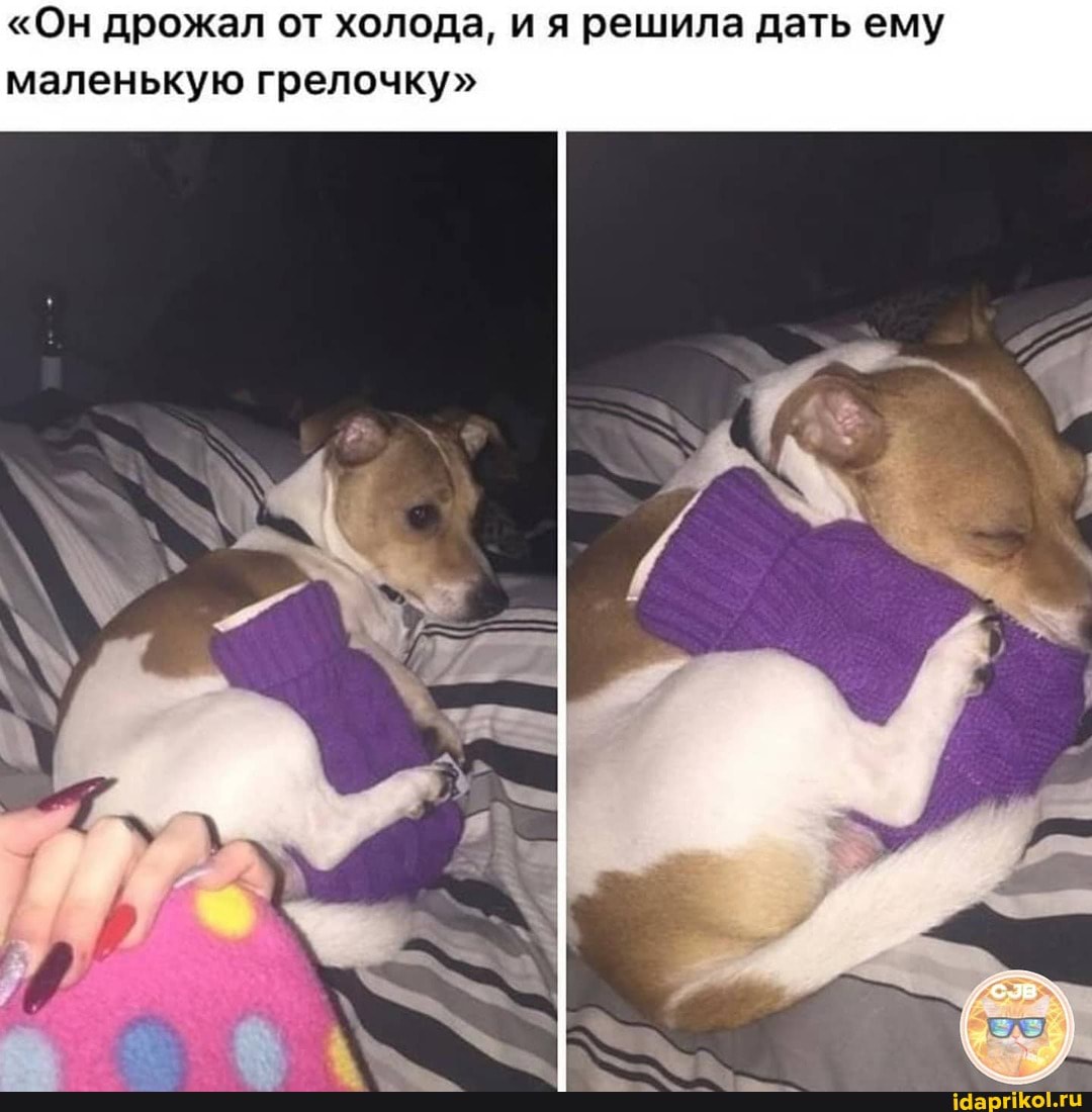 "Он дрожал от холода, и я решила дать ему маленькую грелочку"