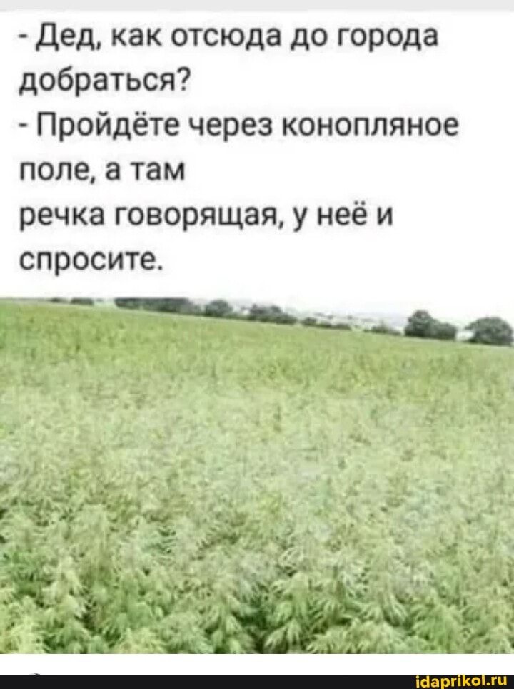 - Дед, как отсюда до города добраться?
- Пройдёте через конопляное поле, а там
речка говорящая, у неё и спросите.