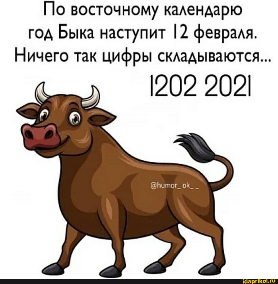 По восточному календарю год Быка наступит [2 февраля.
Ничего так цифры складываются...
1202 202