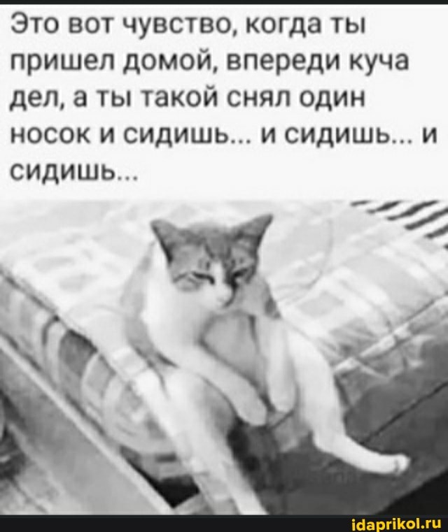 Это вот чувство, когда ты пришел домой, впереди куча дел, а ты такой снял один носок и сидишь... и сидишь... и
сидишь...