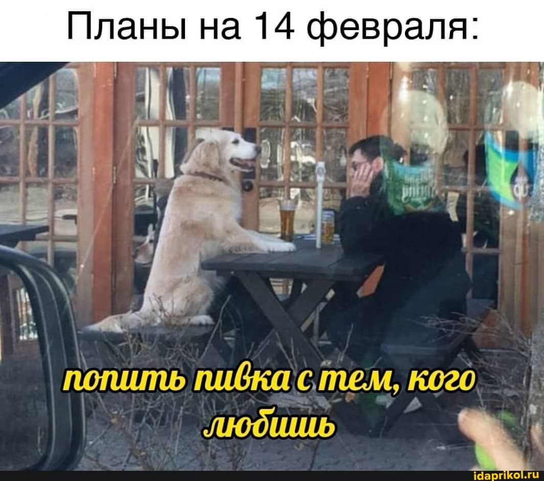 Планы на 14 февраля: