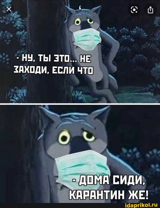 - НУ, ТЫ! НЕ ЗАХОДИ, ЕСЛИ ЧТО
- ДОМА СИДИ,
КАРАНТИН ЖЕ!