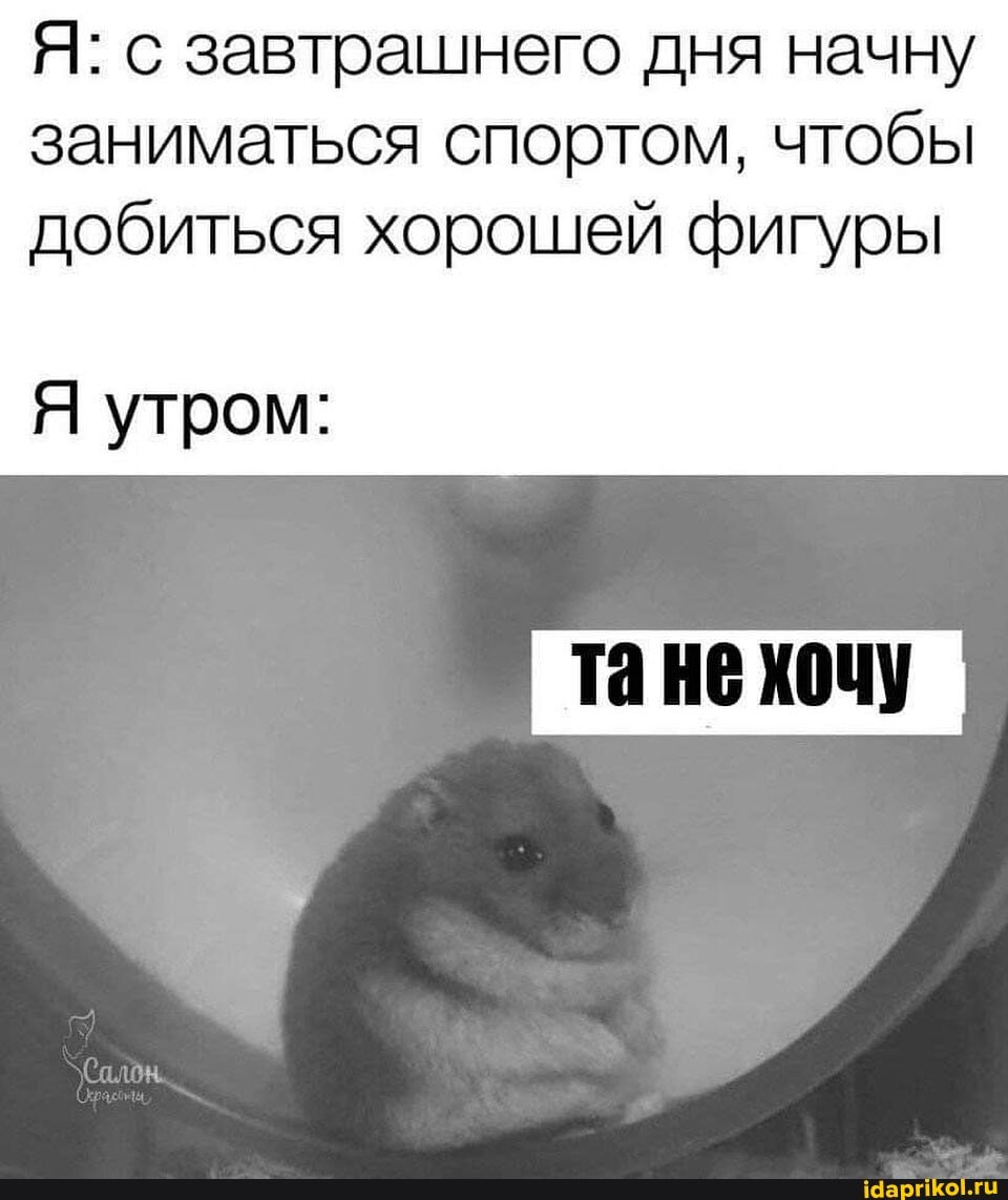 Я: с завтрашнего дня начну заниматься спортом, чтобы добиться хорошей фигуры
Я утром: