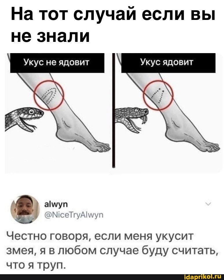 На тот случай если вы не знали
Укус не ядовит Укус ядовит
амуп
Честно говоря, если меня укусит змея, я в любом случае буду считать, что я труп.