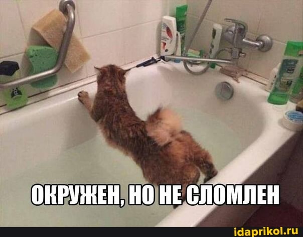 ОНРУЗНЕН, НО НЕ СЛОМЛЕН