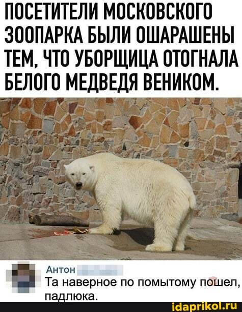ПОСЕТИТЕЛИ МОСКОВСКОГО
ЗООПАРКА БЫЛИ ОШАРАШЕНЫ
ТЕМ, ЧТО УБОРЩИЦА ОТОГНАЛА
БЕЛОГО МЕДВЕДЯ ВЕНИКОМ.
Антон
Та наверное по помытому пошел,
падлюка.