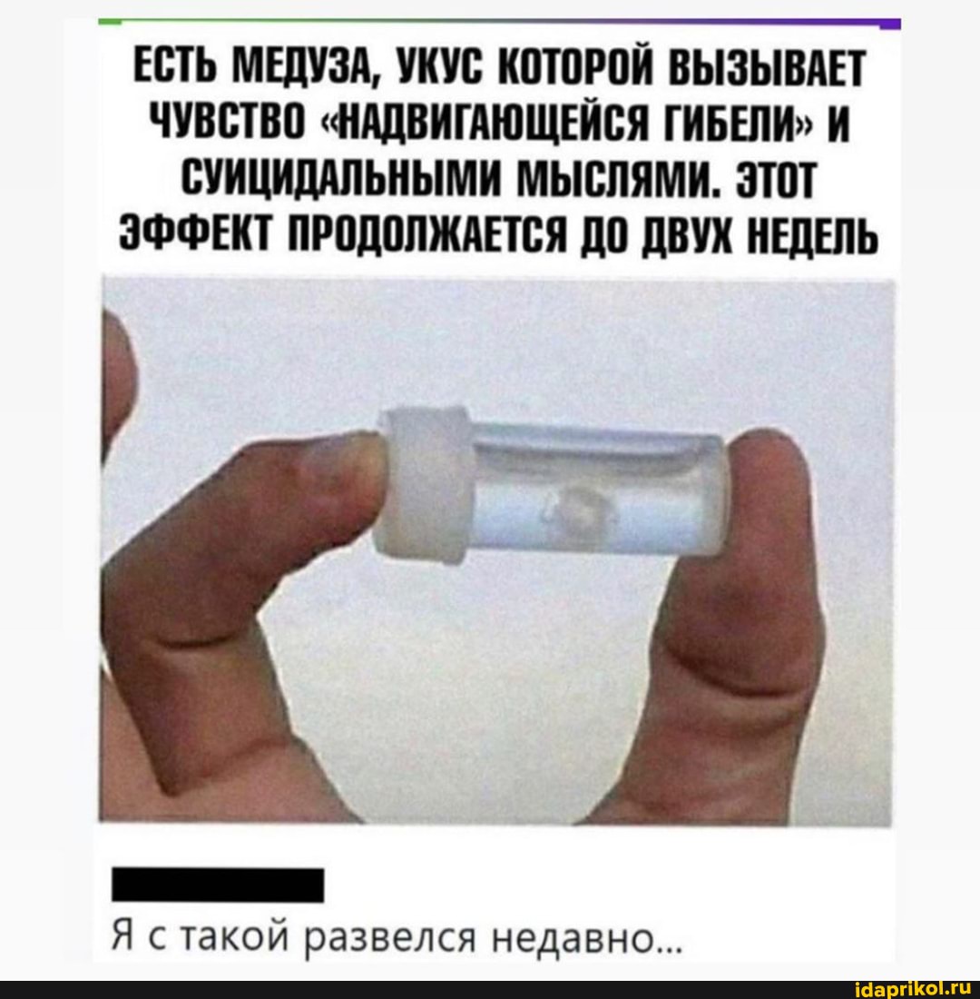 ЕСТЬ МЕДУЗА, УКУС КОТОРОЙ ВЫЗЫВАЕТ ЧУВСТВО "НАДВИГАЮЩЕЙСЯ ГИБЕЛИ"
СУИЦИДАЛЬНЫМИ МЫСЛЯМИ. ЭТОТ ЭФФЕКТ ПРОДОЛЖАЕТСЯ ДО ДВУХ НЕДЕЛЬ
Я такой развелся недавно...