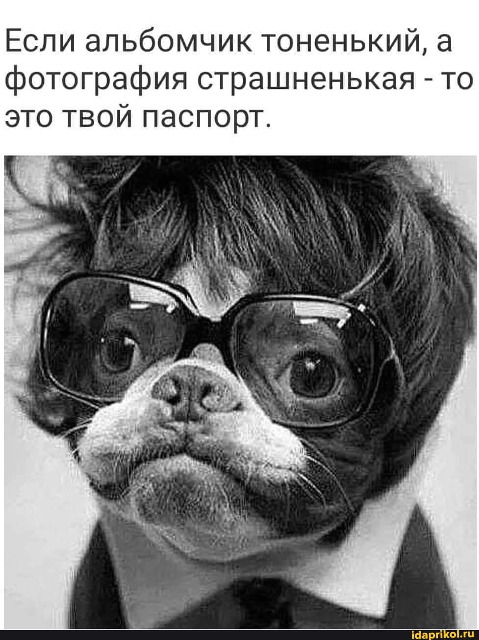 Если альбомчик тоненький, а фотография страшненькая - то это твой паспорт.