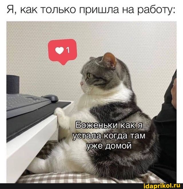 Я, как только пришла на работу:
У, тал когда там
домом