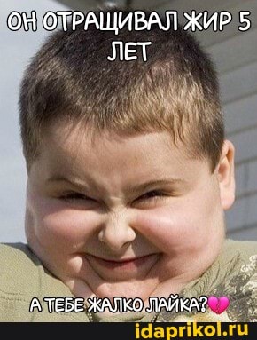 ОЯ ОТРАЩИВАЛ ЖИР 5
ЛЕТ
АТЕБЕ ЖАЛКО ЛАЙКА?