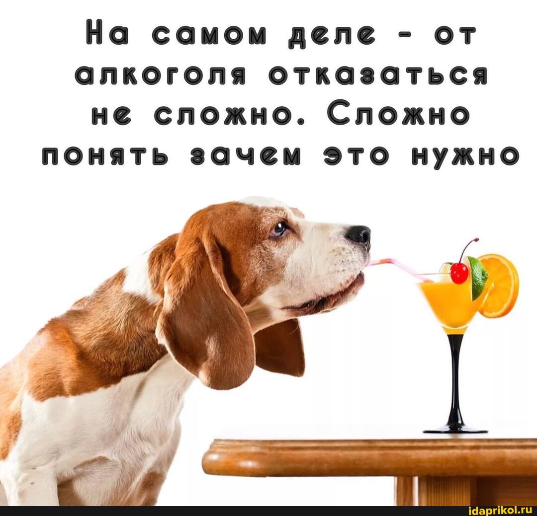 На самом деле - от
алкоголя отказаться
не сложно. Сложно понять зачем это нужно