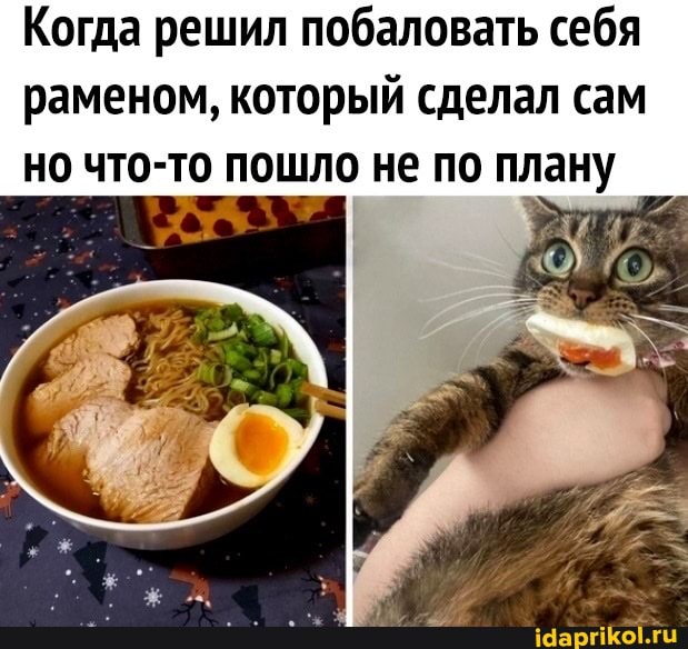 Когда решил побаловать себя раменом, который сделал сам но что-то пошло не по плану