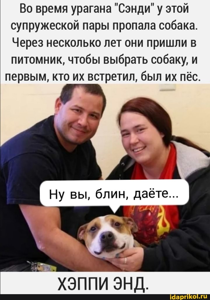Во время урагана "Сэнди" у этой супружеской пары пропала собака.
Через несколько лет они пришли в питомник, чтобы выбрать собаку, и
первым, кто их встретил, был их пёс.
Ну вы, блин, даёте...
ХЭППИ ЭНД.