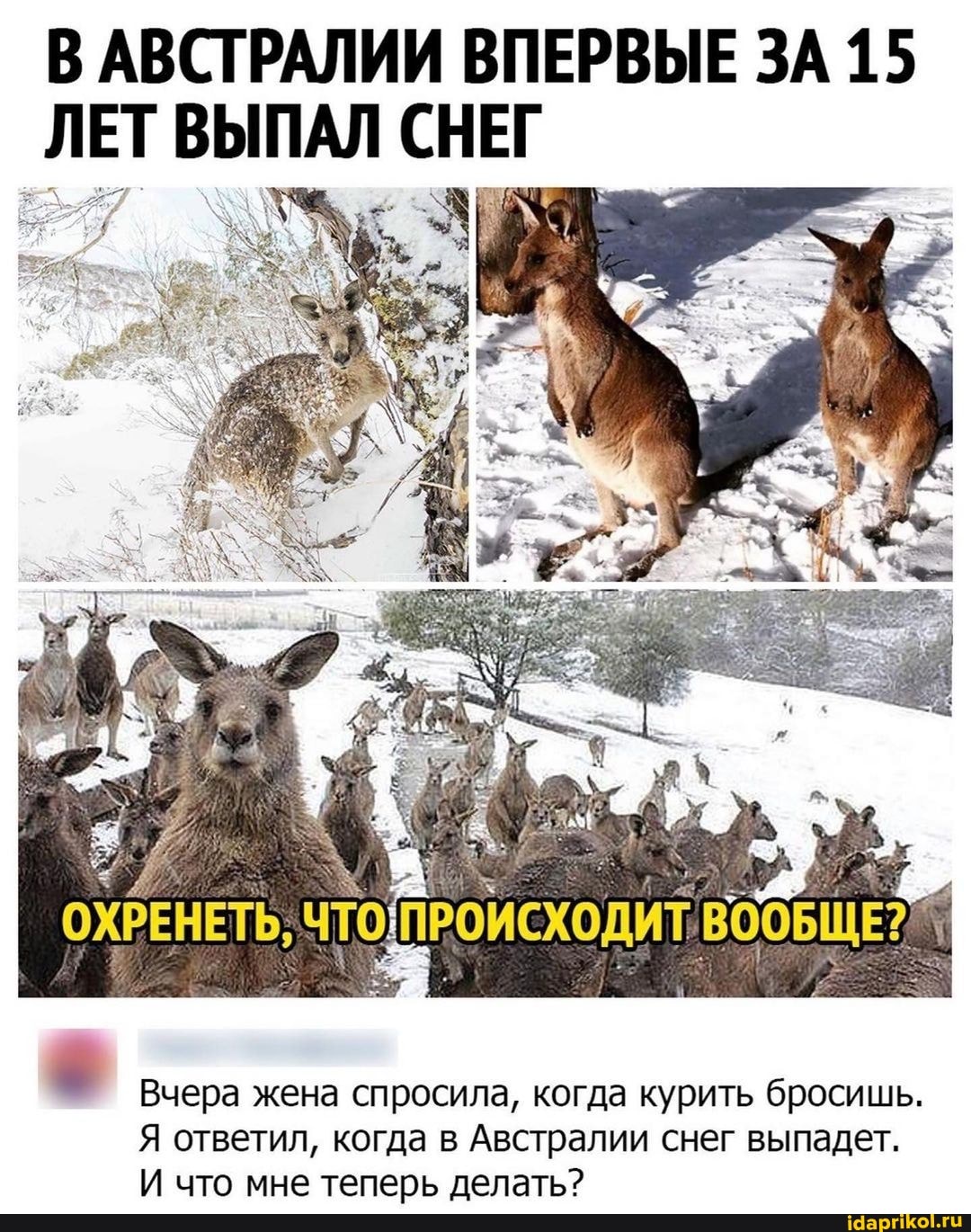 В АВСТРАЛИИ ВПЕРВЫЕ ЗА 15
ЛЕТ ВЫПАЛ СНЕГ
ХРЕНЕТЬ, Ч ПРОИСХОДИТ ВВООБЩ
Вчера жена спросила, когда курить бросишь.
Я ответил, когда в Австралии снег выпадет.
И что мне теперь делать?
