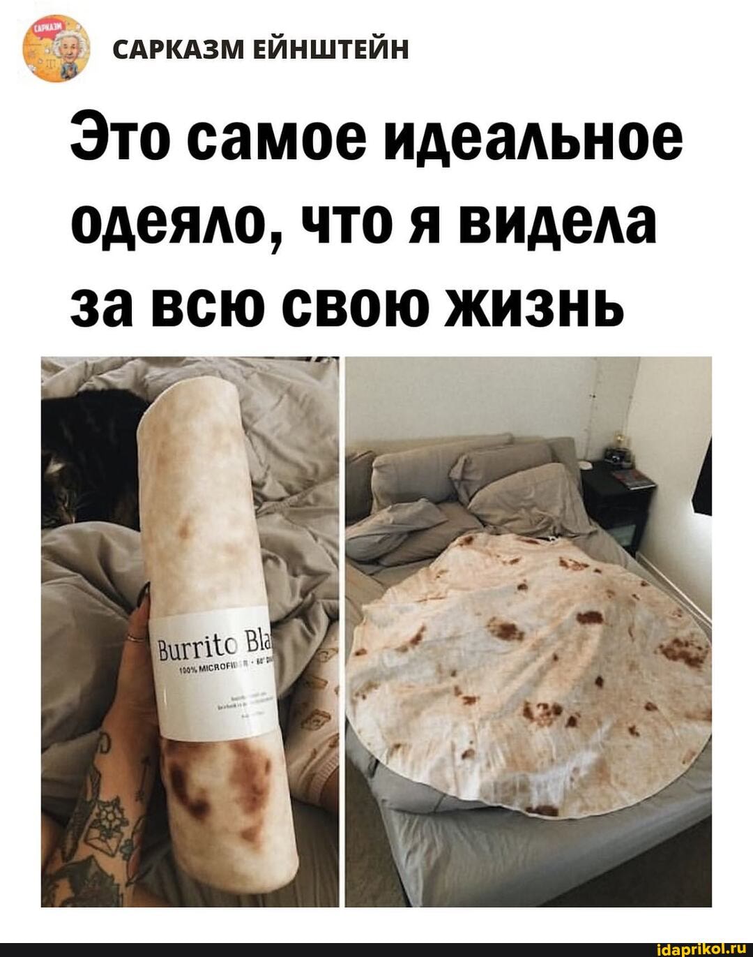 САРКАЗМ ЕЙНШТЕЙН
Это самое идеальное одеяло, что я видела за всю свою жизнь