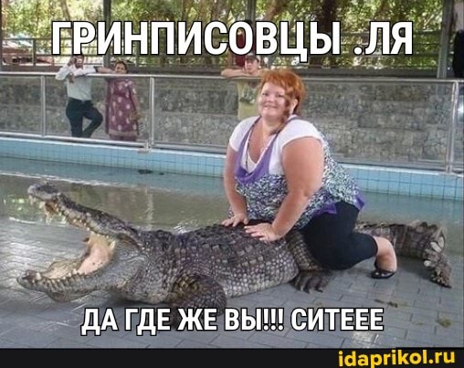 ГРИНПИСОВЦЫ 'ЛЯ
ДА ГДЕ ЖЕ ВЫ!! СИТЕЕЕ