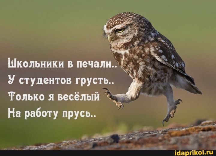 Школьники в печали..
Только я весёлый
У студентов грусть.
На работу прусь..