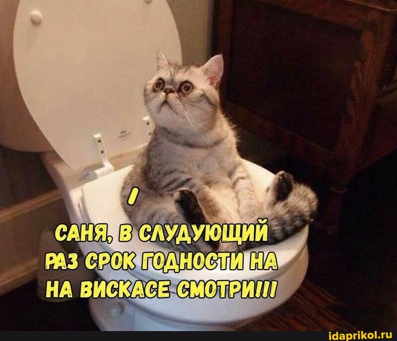 HA BACKACEXCMOTPMIIN