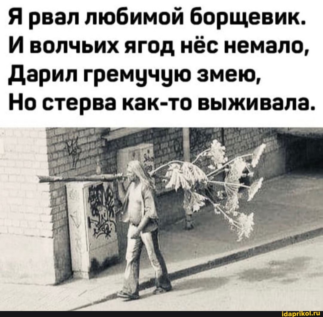 Я рвал любимой борщевик.
И волчьих ягод нёс немало,
Дарил гремучую змею,
Но стерва как-то выживала.