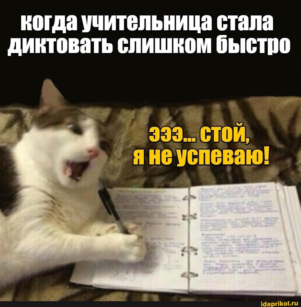 когда учительница стала
диктовать слишком быстро