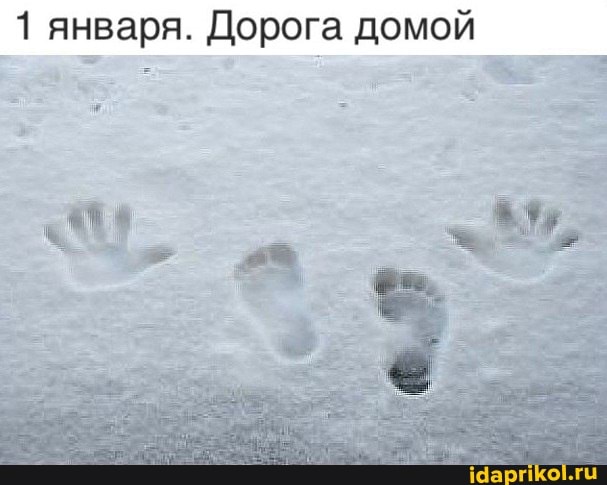 1 января. Дорога домой
