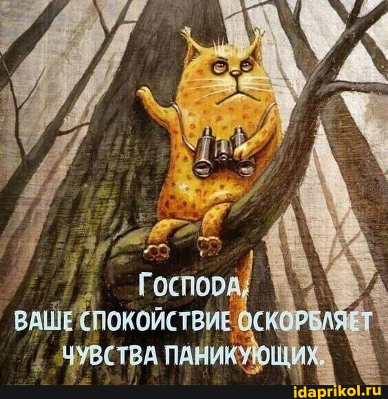 Отличный прикол!