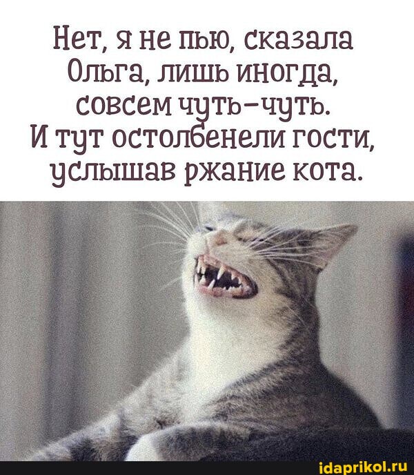 Нет, я не пью, сказала
Ольга, лишь иногда, совсем чуть-чуть.
И тут остолбенели гости, услышав ржание кота.