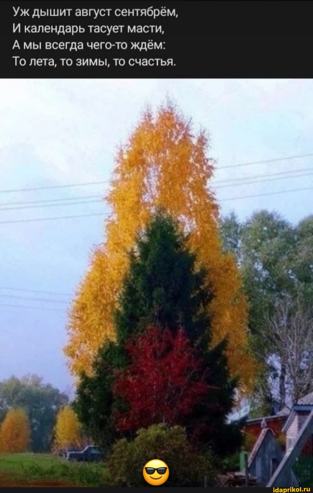 Топтық ұрыс пен жазаның порно видеоларын қараңыз Күйеуі порнографияны онлайн көру үшін камераға түкті кискасымен әйелін түсіреді