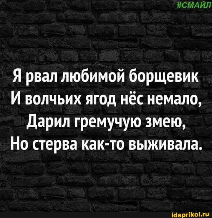 Я рвал любимой борщевик
И волчьих ягод нёс немало,
Дарил гремучую змею,
Но стерва как-то выживала.