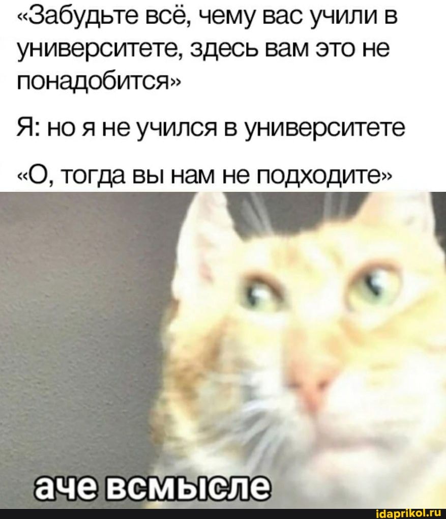 "Забудьте всё, чему вас учили в университете, здесь вам это не понадобится"
Я: но я не учился в университете
"О, тогда вы нам не подходите"
ачевсмыгсле