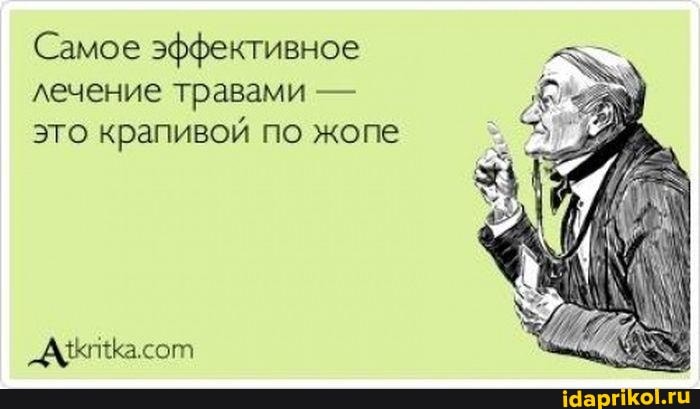 Самое эффективное лечение травами - это крапивой по жопе