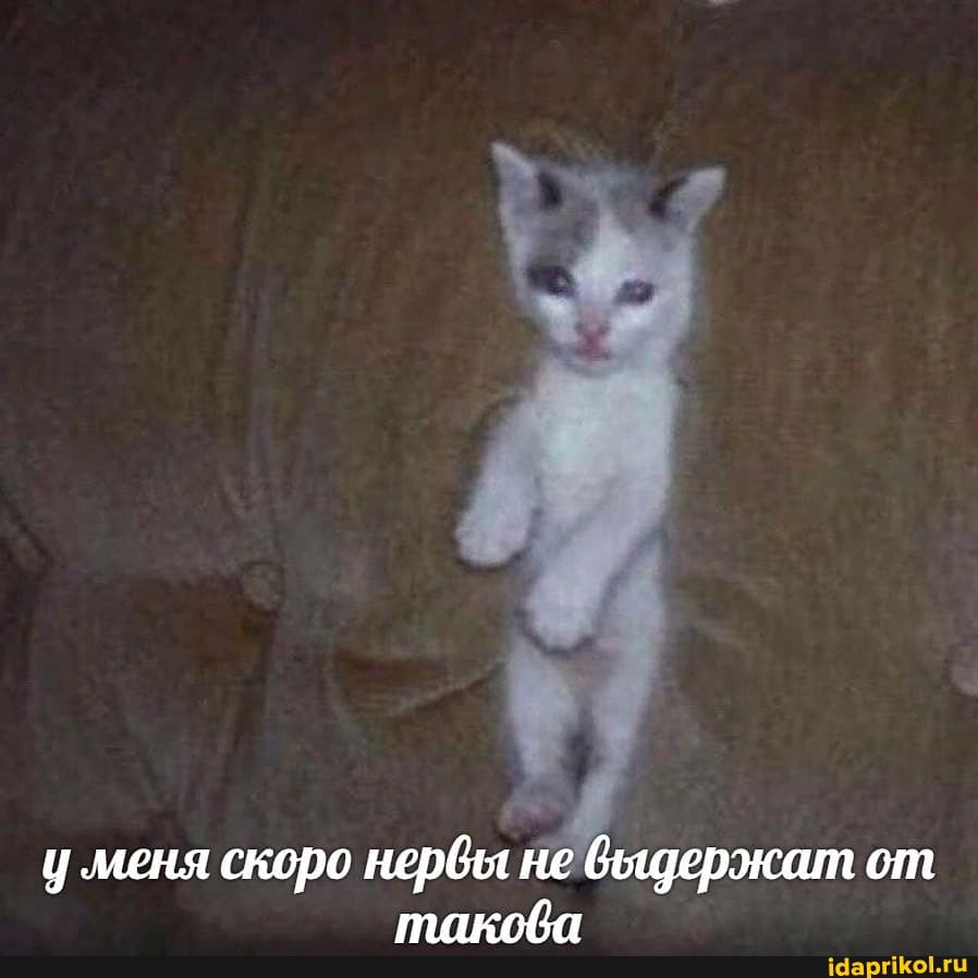 у меня скоро нервы не выщержат от такова
