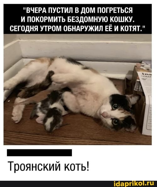 "ВЧЕРА ПУСТИЛ В ДОМ ПОГРЕТЬСЯ И ПОКОРМИТЬ БЕЗДОМНУЮ КОШКУ.
СЕГОДНЯ УТРОМ ОБНАРУЖИЛ ЕЁ И КОТЯТ."
Троянский коть!
