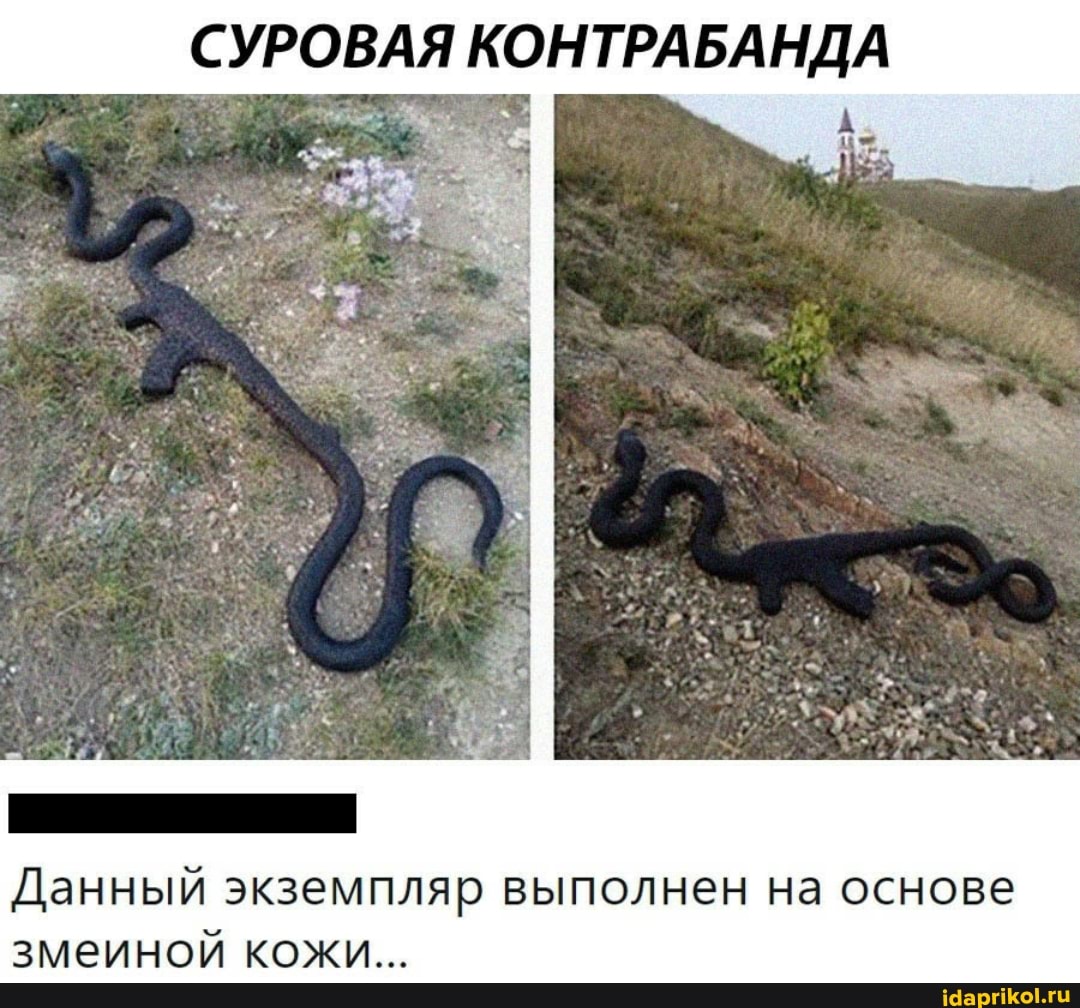 СУРОВАЯ КОНТРАБАНДА
Данный экземпляр выполнен на основе змеиной кожи...