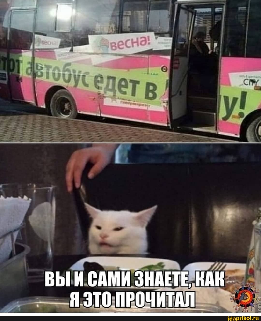 ВЫИСАМИ ЗНАЕТЕ, КАК Я ЭТО ПРОЧИТАЛ