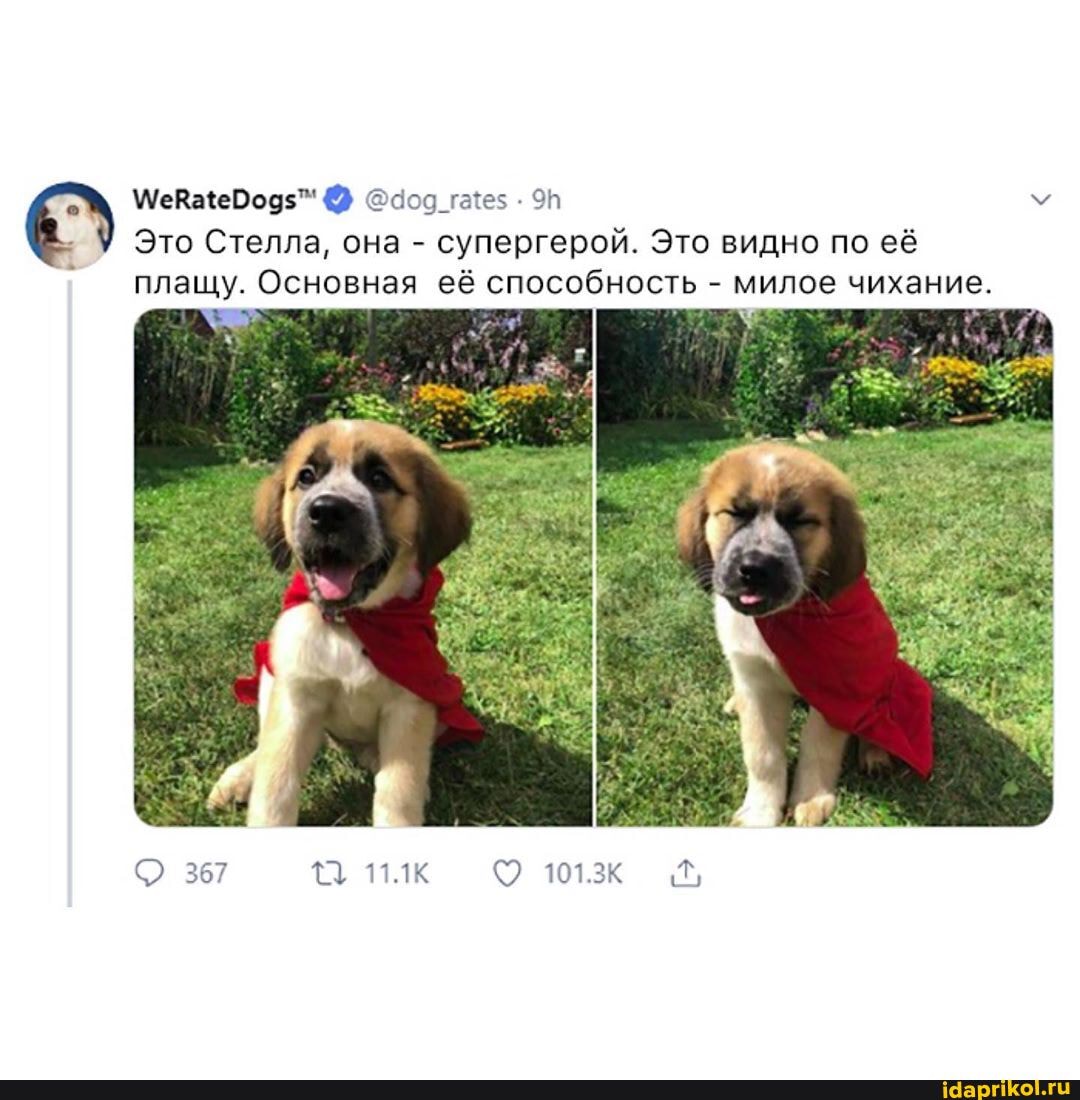 : Это Стелла, она - супергерой. Это видно по её плащу. Основная её способность - милое чихание.
367
